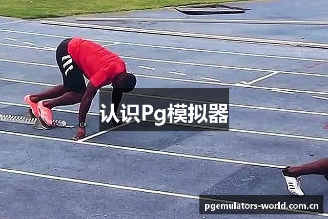 认识Pg模拟器